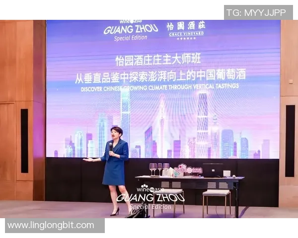 与陈芳对话：回顾她的篮球生涯与成长之路