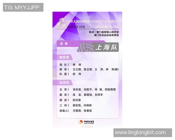 上海排球队个人能力排名创新高引发关注展现团队实力与个人技术的完美结合 上海排球队个人能力排名创新高引发关注展现团队实力与个人技术的完美结合