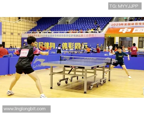 乒乓球的魅力：深入探讨深圳乒乓球队的速度与技巧之旅