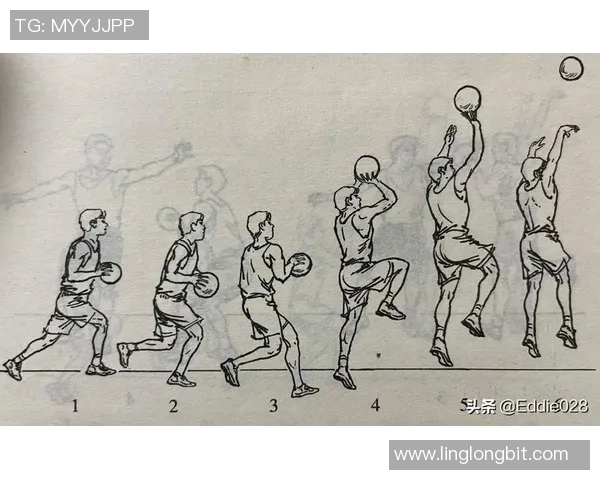 从零基础到篮球高手的全面技术提升指南与实战技巧分享 从零基础到篮球高手的全面技术提升指南与实战技巧分享