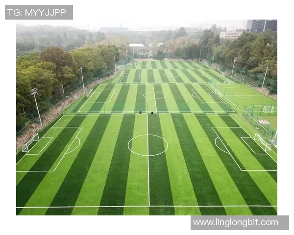 足球草坪填充材料的选择与应用技巧解析助您打造完美运动场地