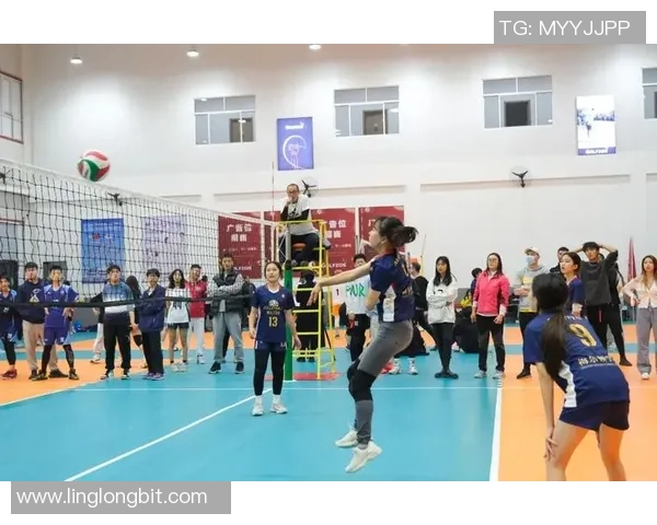 重庆排球队心理素质探讨：提升竞技表现与团队协作的关键因素