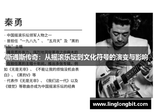 斯通斯传奇：从摇滚乐坛到文化符号的演变与影响