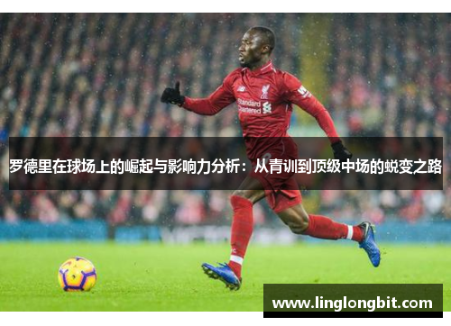 罗德里在球场上的崛起与影响力分析：从青训到顶级中场的蜕变之路