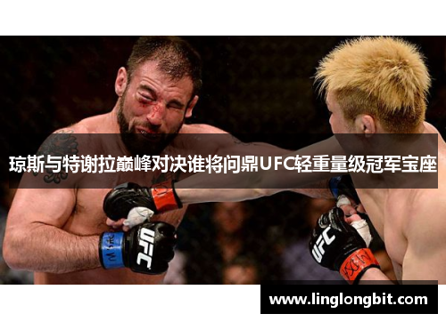 琼斯与特谢拉巅峰对决谁将问鼎UFC轻重量级冠军宝座